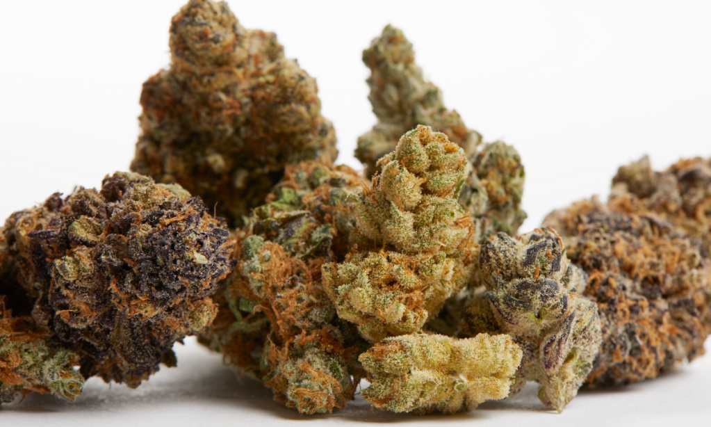 A Short Trip to the World of Exotic Cannabis Strains